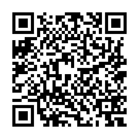 QR code for ZDA9595