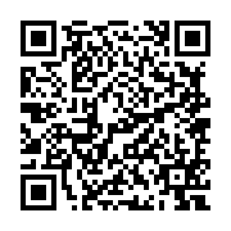 QR code for ZDZ8953