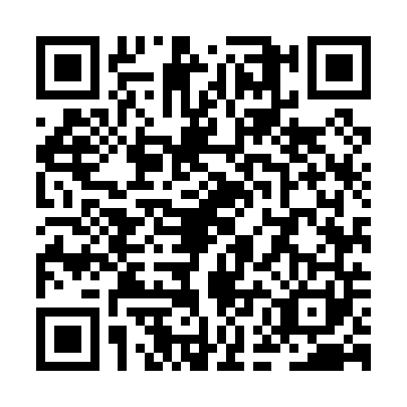 QR code for ZEM0413