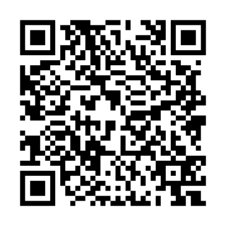 QR code for ZFX5333