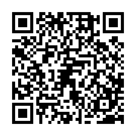 QR code for ZGP4866