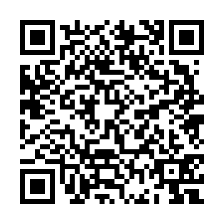 QR code for ZGP6313