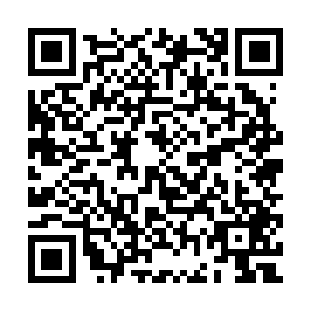QR code for ZGU2493