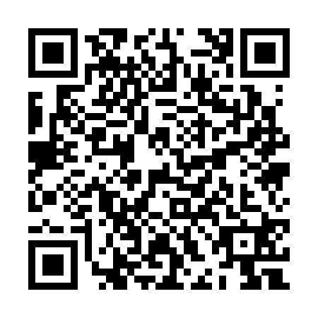 QR code for ZHA3207
