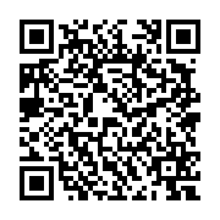 QR code for ZHM4653