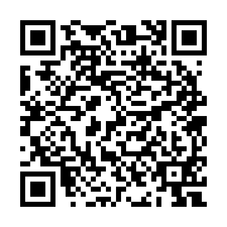 QR code for ZIC2919