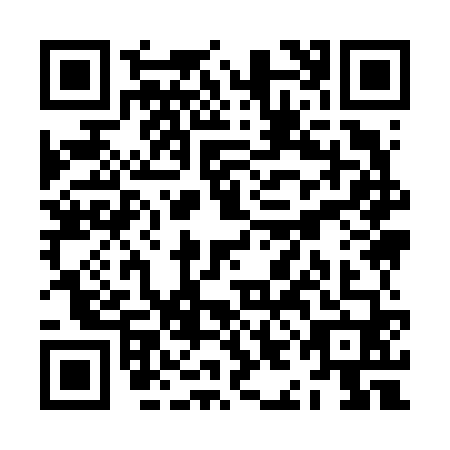 QR code for ZII6603