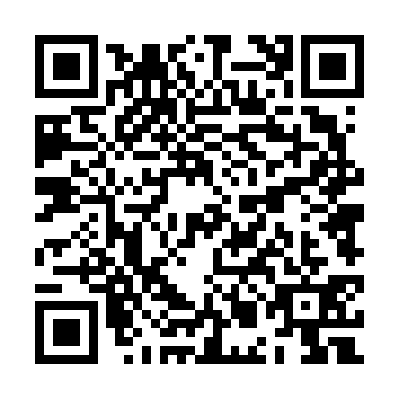 QR code for ZMD6313