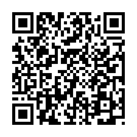 QR code for ZNN0597