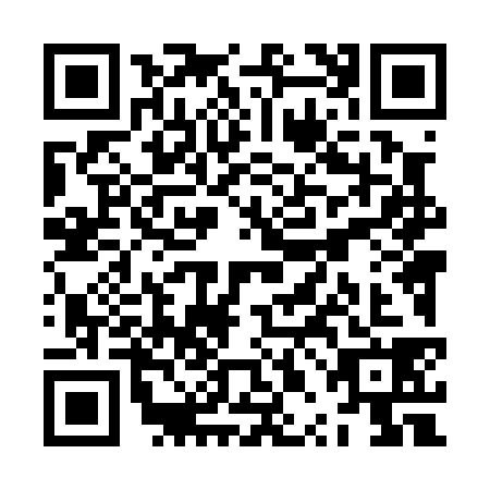 QR code for ZPL0381