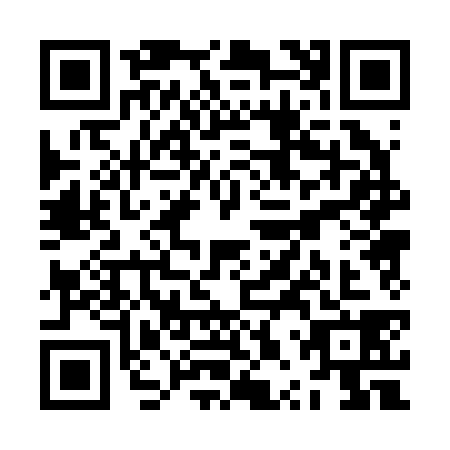 QR code for ZPP2383
