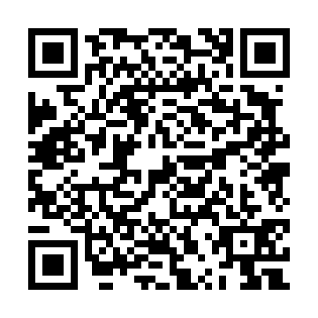 QR code for ZPP4313