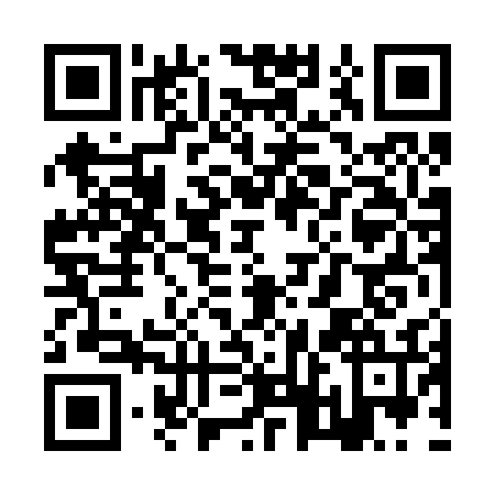 QR code for ZTN2369
