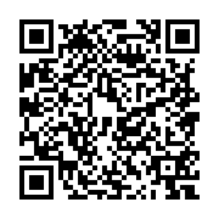QR code for ZTX9509