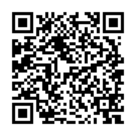 QR code for ZTZ6992