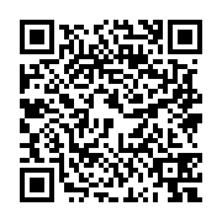 QR code for ZVI5385
