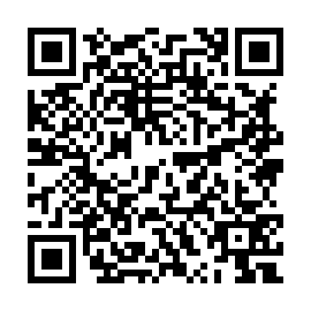 QR code for ZXI8738