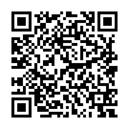 QR code for ZXM9602