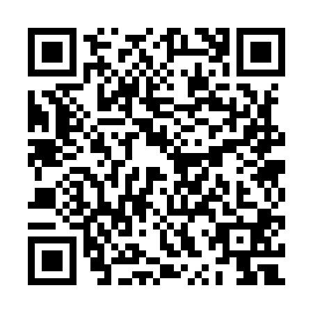 QR code for ZXS9006