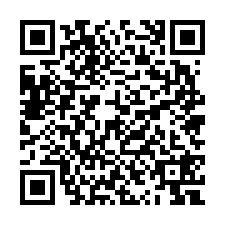 QR code for ZYE6287