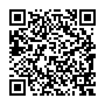 QR code for ZYL3993