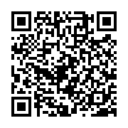 QR code for ZYL4111