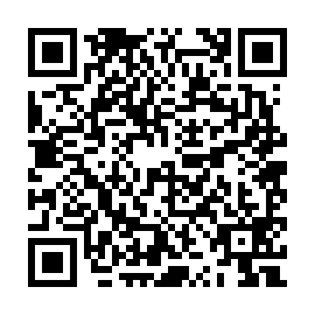 QR code for ZZB6995