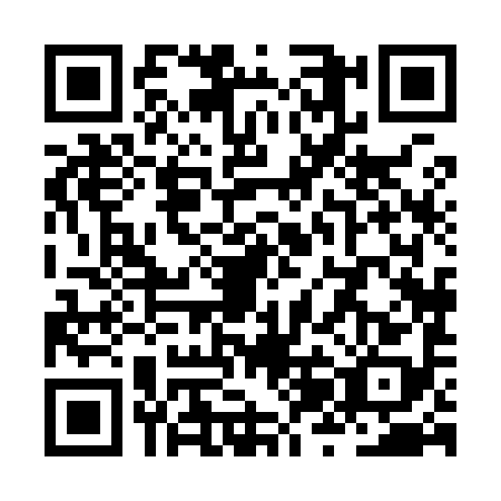 QR code for ZZH9981