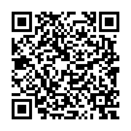 QR code for ZZL4165