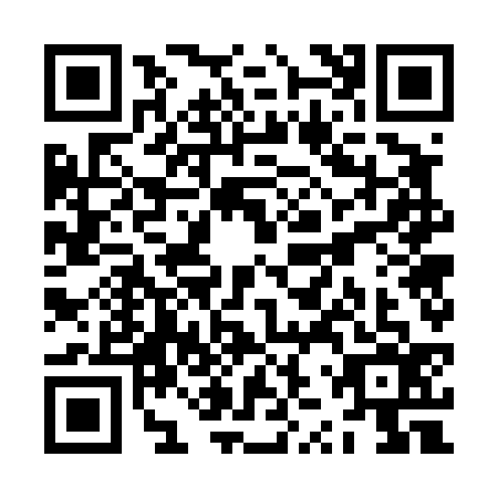 QR code for ZZW4368