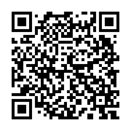 QR code for plate 10L 665