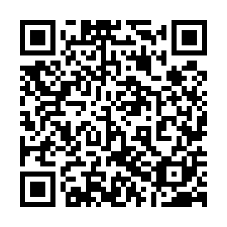 QR code for 10N501