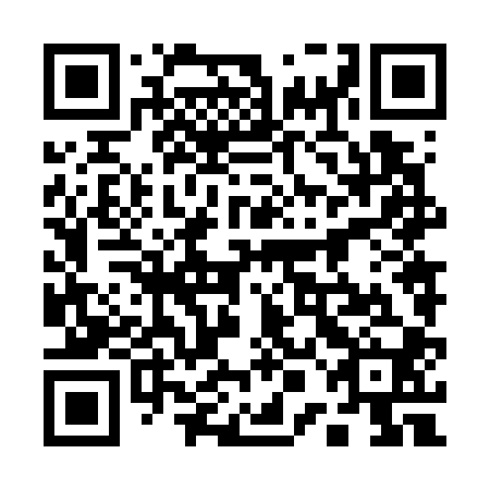 QR code for plate 10N 700