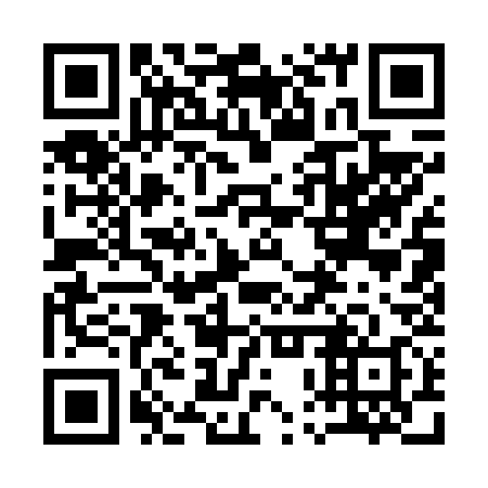 QR code for plate 10Q 638