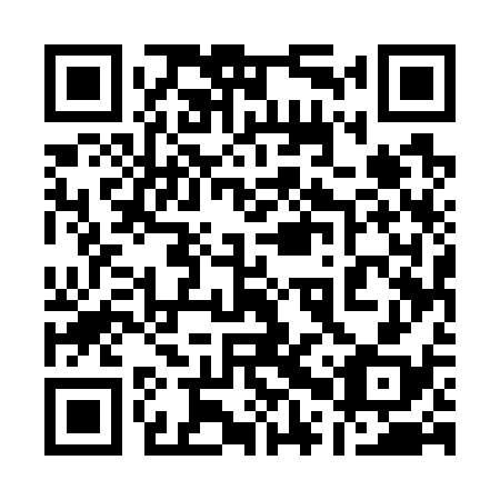 QR code for plate 10U 738