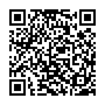 QR code for 10X533