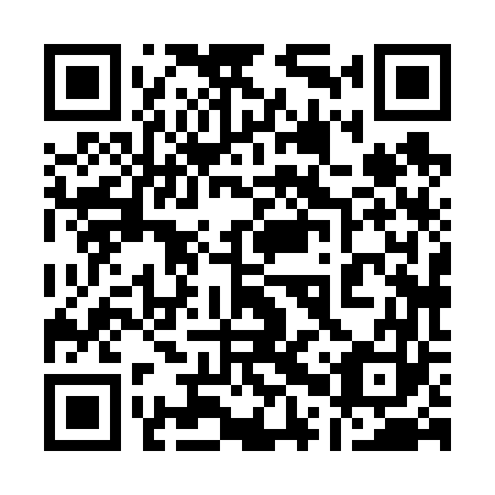 QR code for plate 10X 663