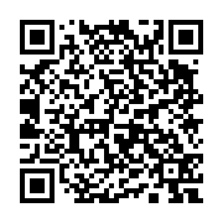 QR code for plate 11A 433