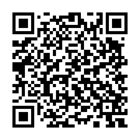 QR code for plate 11E 403