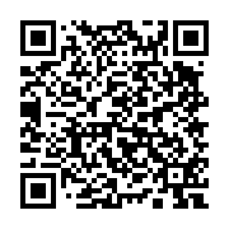 QR code for plate 11E 411