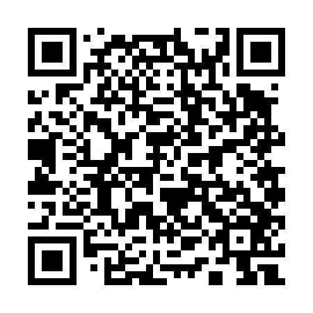 QR code for plate 11F 446