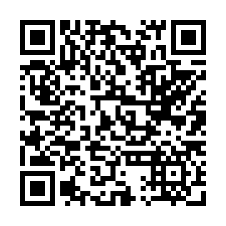 QR code for plate 11F 687