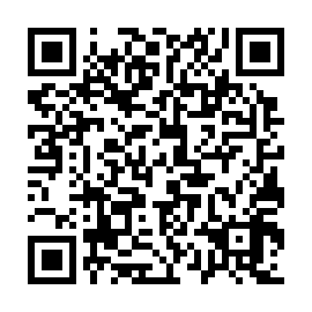 QR code for plate 11G 318
