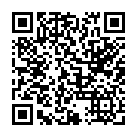 QR code for 11I 307