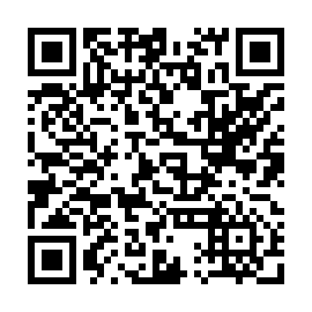 QR code for plate 11J 856