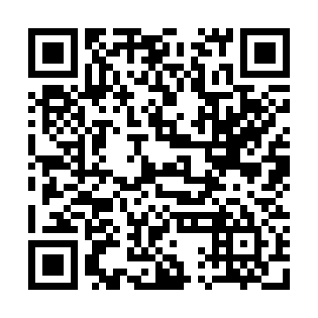QR code for plate 11K 335