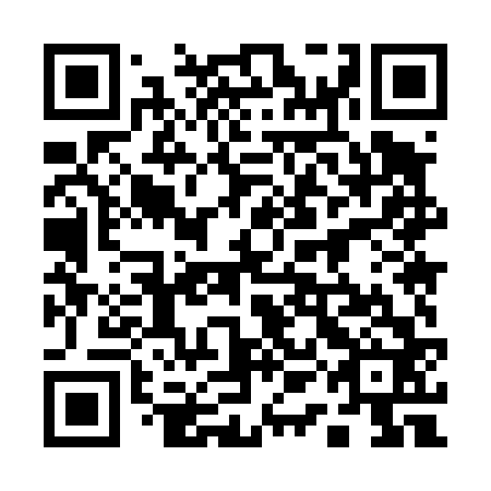 QR code for 11M 462