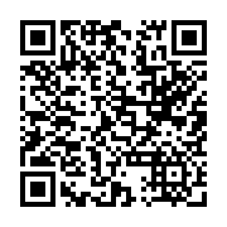 QR code for plate 11M 337