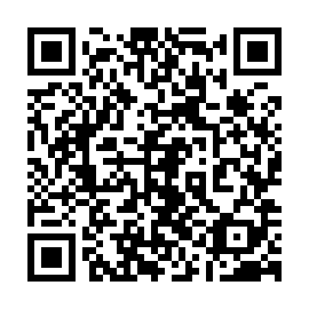 QR code for 11O989