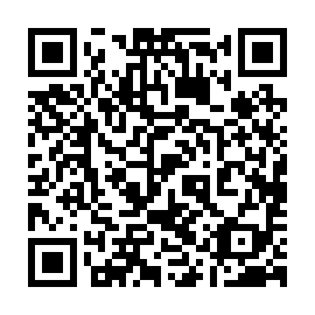 QR code for 11P 299